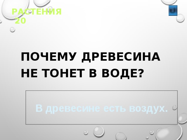 РАСТЕНИЯ 20  ПОЧЕМУ ДРЕВЕСИНА НЕ ТОНЕТ В ВОДЕ? В древесине есть воздух. 