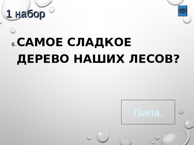 1 набор 6. САМОЕ СЛАДКОЕ ДЕРЕВО НАШИХ ЛЕСОВ? Липа. 