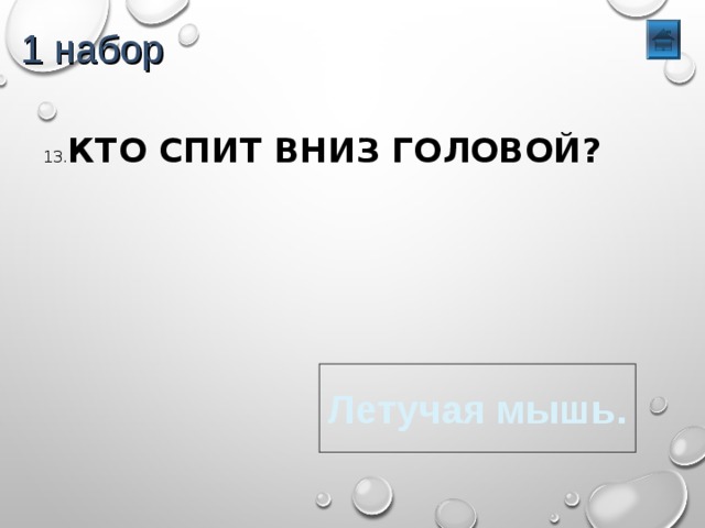 1 набор 13. КТО СПИТ ВНИЗ ГОЛОВОЙ? Летучая мышь. 