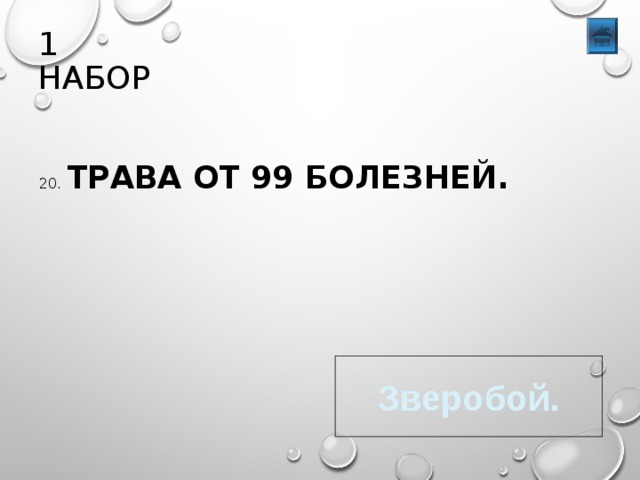 1 НАБОР 20. ТРАВА ОТ 99 БОЛЕЗНЕЙ. Зверобой. 