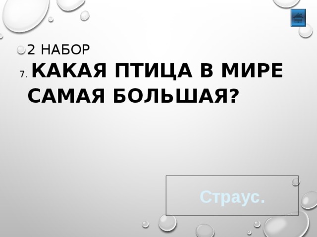 2 НАБОР 7. КАКАЯ ПТИЦА В МИРЕ САМАЯ БОЛЬШАЯ? Страус. 