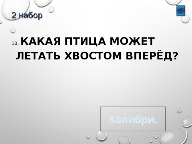 2 набор 18. КАКАЯ ПТИЦА МОЖЕТ ЛЕТАТЬ ХВОСТОМ ВПЕРЁД? Колибри. 