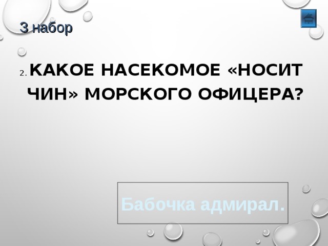 3 набор 2. КАКОЕ НАСЕКОМОЕ «НОСИТ ЧИН» МОРСКОГО ОФИЦЕРА? Бабочка адмирал. 