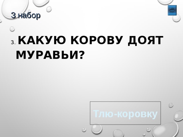 3 набор 3. КАКУЮ КОРОВУ ДОЯТ МУРАВЬИ? Тлю-коровку 