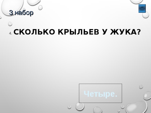 3 набор 4. СКОЛЬКО КРЫЛЬЕВ У ЖУКА? Четыре. 