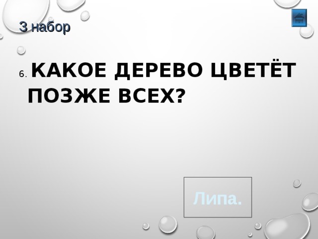 3 набор 6. КАКОЕ ДЕРЕВО ЦВЕТЁТ ПОЗЖЕ ВСЕХ? Липа. 