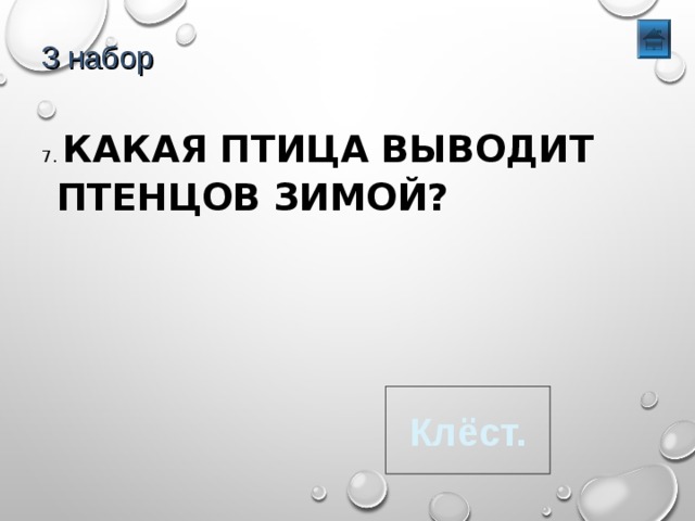 3 набор 7. КАКАЯ ПТИЦА ВЫВОДИТ ПТЕНЦОВ ЗИМОЙ? Клёст. 