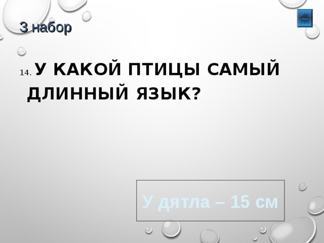 3 набор 14. У КАКОЙ ПТИЦЫ САМЫЙ ДЛИННЫЙ ЯЗЫК? У дятла – 15 см 