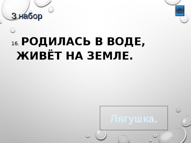 3 набор 16. РОДИЛАСЬ В ВОДЕ, ЖИВЁТ НА ЗЕМЛЕ. Лягушка. 