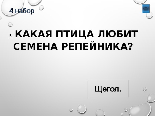 4 набор 5. КАКАЯ ПТИЦА ЛЮБИТ СЕМЕНА РЕПЕЙНИКА? Щегол. 