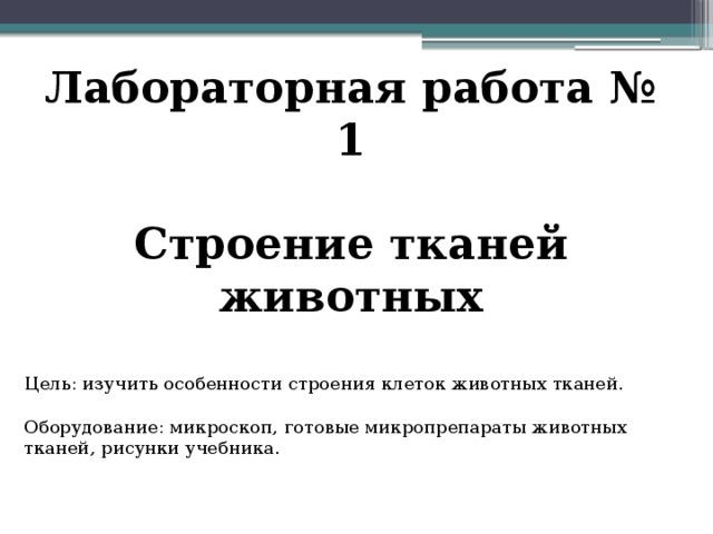 Лабораторная работа изучение тканей. Строение животных тканей лабораторная работа. Лабораторная работа по биологии строение животных тканей. Лабораторная работа животная ткани. Лабораторная работа изучение тканей растений и животных.