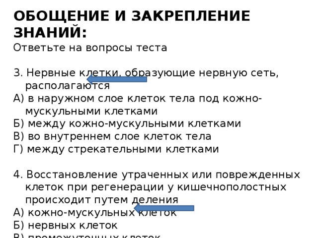 ОБОЩЕНИЕ И ЗАКРЕПЛЕНИЕ ЗНАНИЙ: Ответьте на вопросы теста 3. Нервные клетки, образующие нервную сеть, располагаются А) в наружном слое клеток тела под кожно-мускульными клетками Б) между кожно-мускульными клетками В) во внутреннем слое клеток тела Г) между стрекательными клетками 4. Восстановление утраченных или поврежденных клеток при регенерации у кишечнополостных происходит путем деления А) кожно-мускульных клеток Б) нервных клеток В) промежуточных клеток Г) пищеварительных клеток