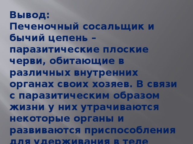 Вывод: Печеночный сосальщик и бычий цепень – паразитические плоские черви, обитающие в различных внутренних органах своих хозяев. В связи с паразитическим образом жизни у них утрачиваются некоторые органы и развиваются приспособления для удерживания в теле хозяина. Для этих червей характерна огромная плодовитость. 