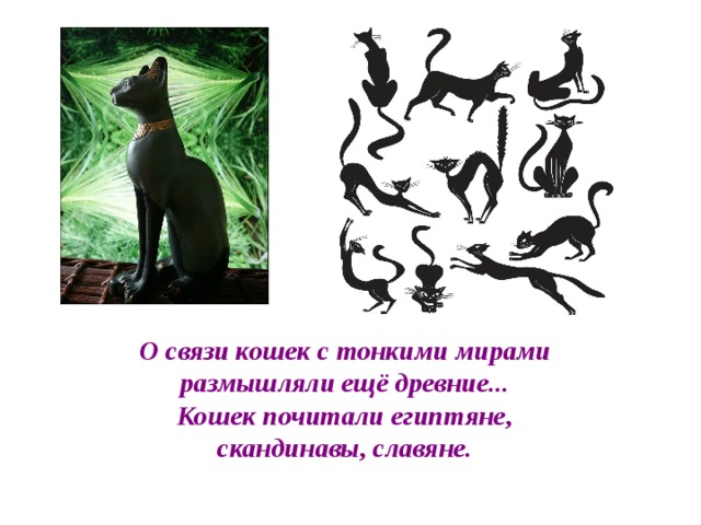 О связи кошек с тонкими мирами размышляли ещё древние... Кошек почитали египтяне, скандинавы, славяне.  