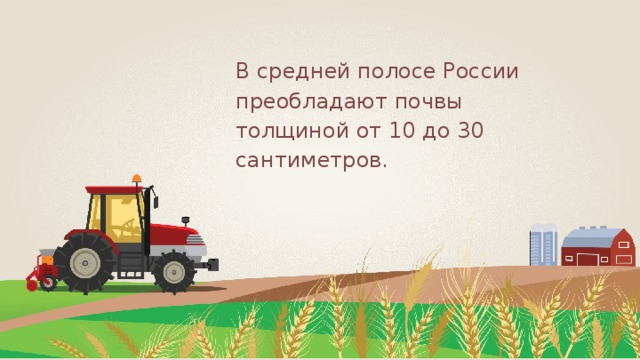 В средней полосе России преобладают почвы толщиной от 10 до 30 сантиметров. 