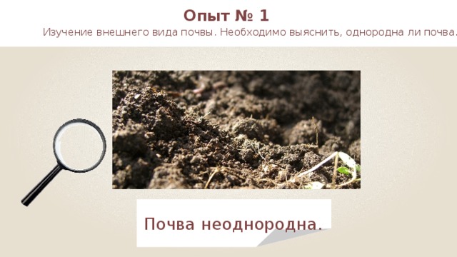 Опыт № 1 Изучение внешнего вида почвы. Необходимо выяснить, однородна ли почва . Почва неоднородна . 14 