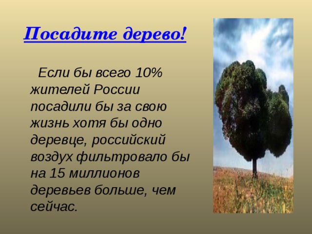 Посадите дерево!   Если бы всего 10% жителей России посадили бы за свою жизнь хотя бы одно деревце, российский воздух фильтровало бы на 15 миллионов деревьев больше, чем сейчас. 