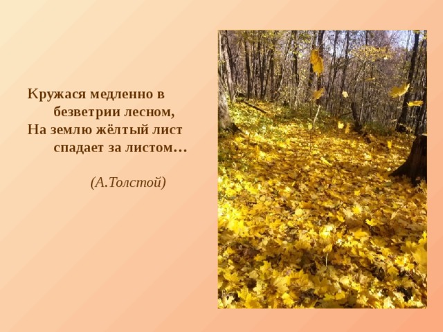 Кружася медленно в  безветрии лесном, На землю жёлтый лист  спадает за листом…   (А.Толстой)