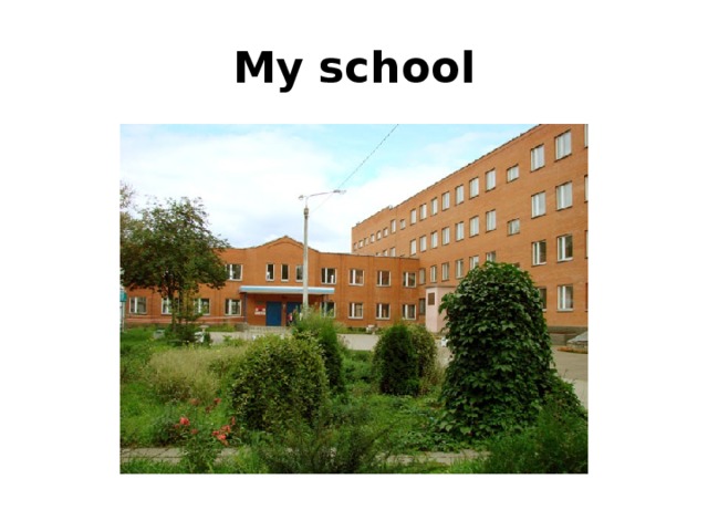 My school 