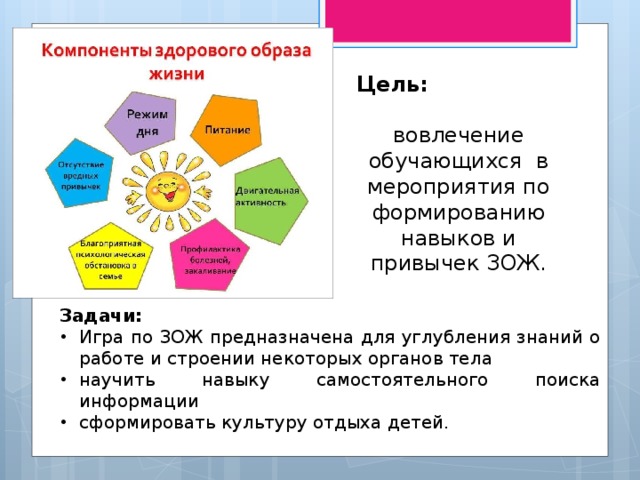 Проект по теме здоровый образ жизни 9 класс с целью задачей