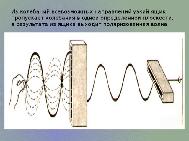 Направление колебаний. Колебания света происходящие в одной определенной плоскости. Плоскость колебаний пропускаемого света. Феномен бесконечного тона из за колебаний стенок.