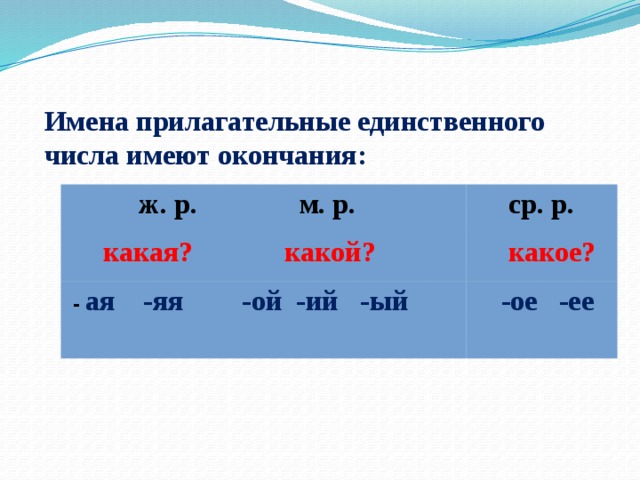 Имеют на конце имен. Имена прилагательные в единственном числе. Окончания имен прилагательных в единственном числе. Прилагательные имеют окончания в единственном числе. Имена прилагательные среднего рода имеют окончания.