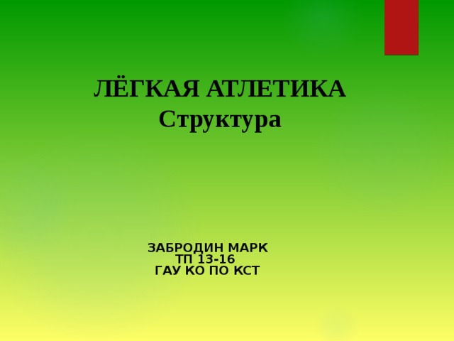 ЛЁГКАЯ АТЛЕТИКА  Структура   ЗАБРОДИН МАРК  ТП 13-16  ГАУ КО ПО КСТ 