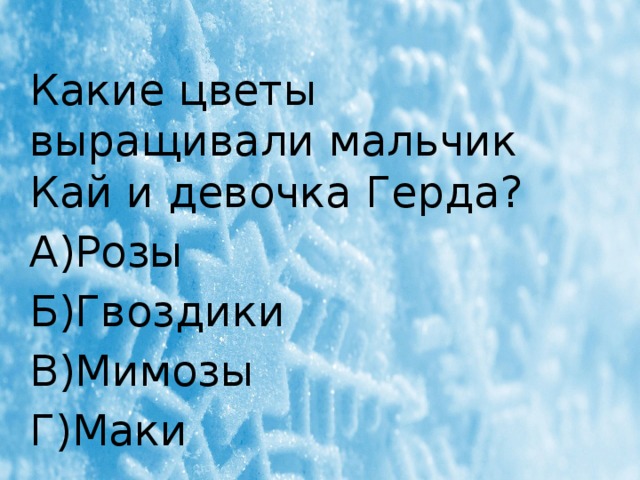 Какие цветы выращивали мальчик Кай и девочка Герда? А)Розы Б)Гвоздики В)Мимозы Г)Маки 