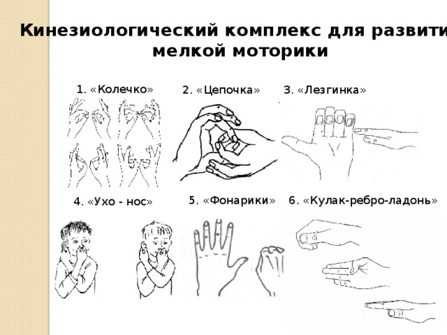 Кинезиологические упражнения картинки