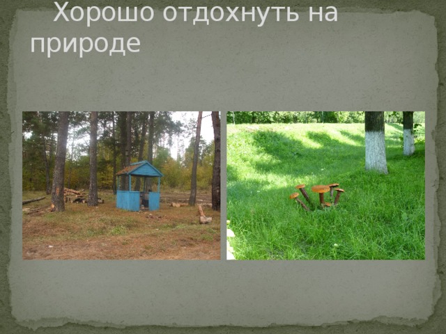  Хорошо отдохнуть на природе 