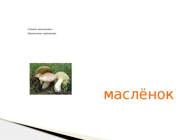 Стоит мальчонка – Замаслена шапчонка. маслёнок 