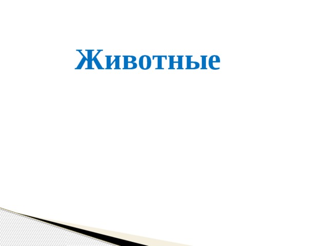 Животные 