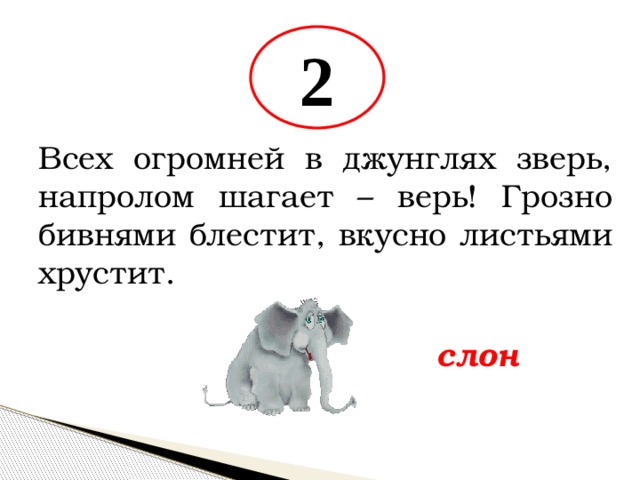 2 Всех огромней в джунглях зверь, напролом шагает – верь! Грозно бивнями блестит, вкусно листьями хрустит. слон 