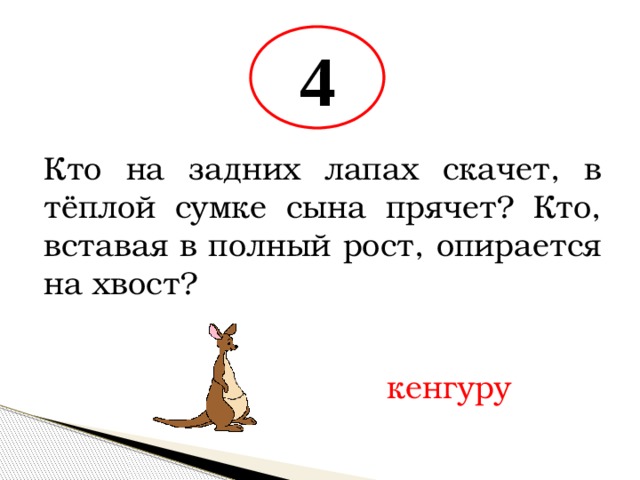 4 Кто на задних лапах скачет, в тёплой сумке сына прячет? Кто, вставая в полный рост, опирается на хвост? кенгуру 