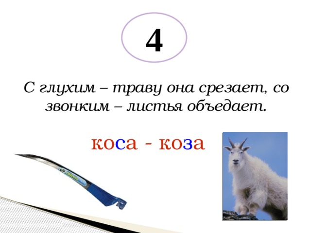 4 С глухим – траву она срезает, со звонким – листья объедает. ко с а - ко з а 