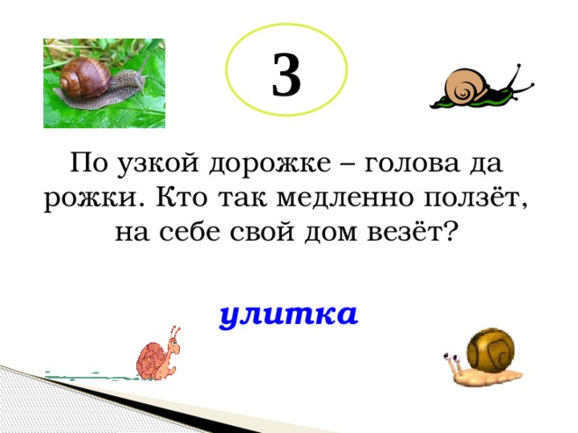 3 По узкой дорожке – голова да рожки. Кто так медленно ползёт, на себе свой дом везёт? улитка 