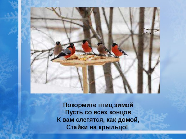 Презентация птицы зимой 1 класс. Покормите птиц зимой пусть со всех. Покормите птиц зимой пусть со всех концов к вам. Птицы зимой урок окружающий мир. Жизнь птиц зимой 1 класс.