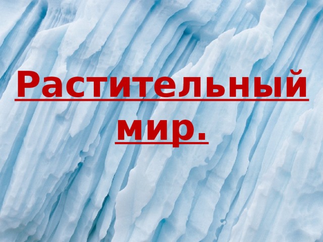 Зона арктических пустынь рабочая тетрадь