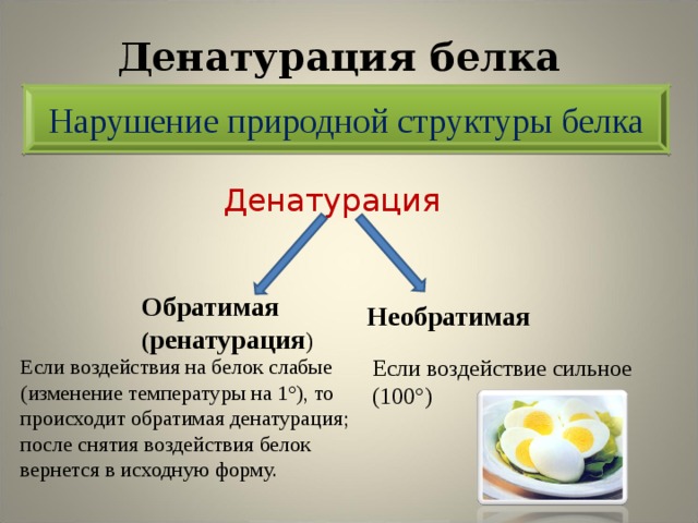 Белки состав и структура белков 10 класс биология презентация