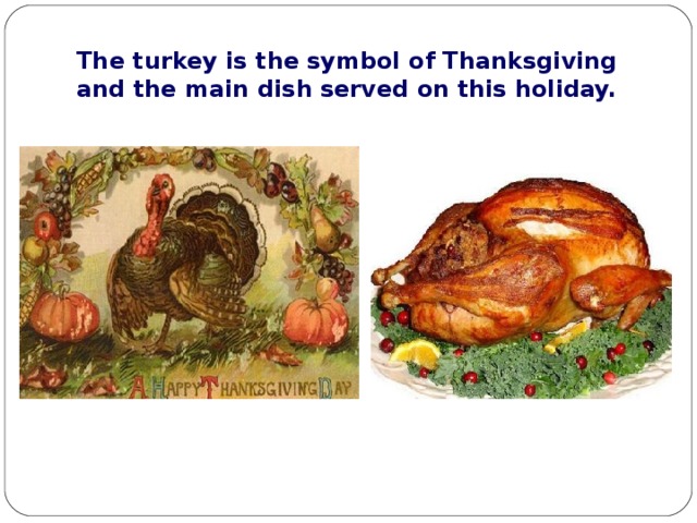 The turkey is the symbol of Thanksgiving and the main dish served on this holiday. 