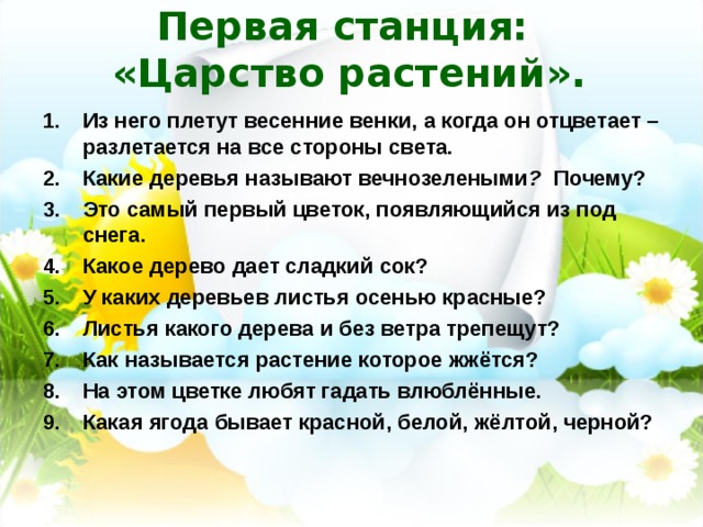 Первая станция:  «Царство растений».