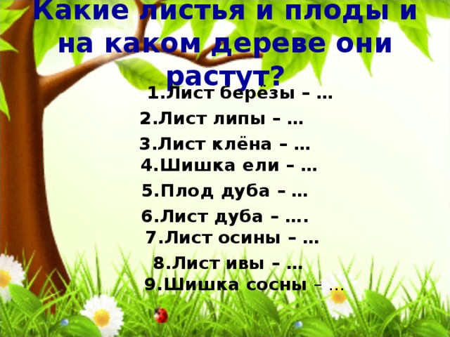 Какие листья и плоды и на каком дереве они растут?  1.Лист берёзы – …  2.Лист липы – … 3.Лист клёна – …  4.Шишка ели – …   5.Плод дуба – … 6.Лист дуба – ….  7.Лист осины – …  8.Лист ивы – …  9.Шишка сосны – …