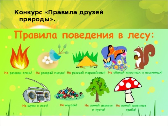 Конкурс   «Правила друзей природы».