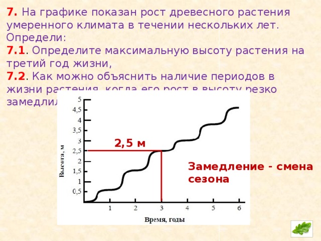 Наличие периода