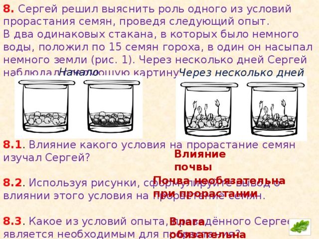 По описанию опыта выберите сформулированную. Опыт прорастания семян в стакане горох. Влияет наличие почвы на прорастание семян. Эксперимент прорастания семян в двух стаканах. ВПР условия прорастания семян.