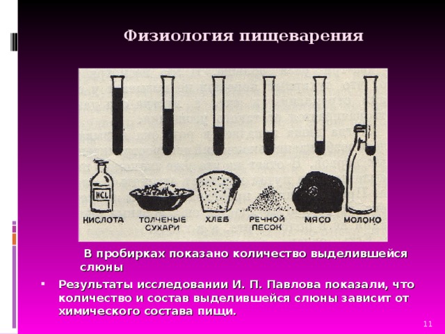 Физиология пищеварения    В пробирках показано количество выделившейся слюны Результаты исследовании И. П. Павлова показали, что количество и состав выделившейся слюны зависит от химического состава пищи.   