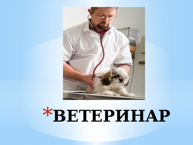 ВЕТЕРИНАР 