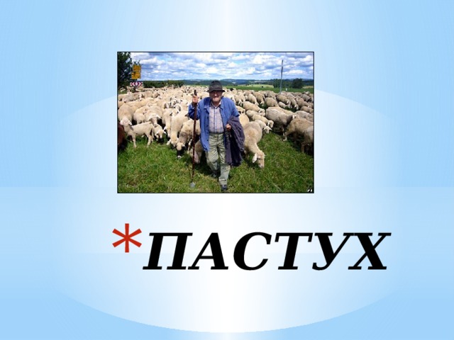 ПАСТУХ 