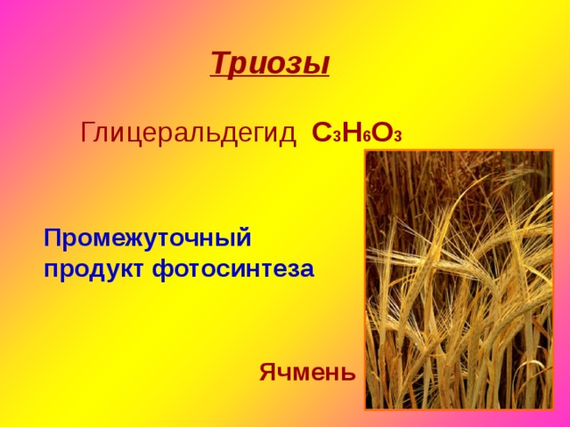 Триозы Глицеральдегид С 3 Н 6 О 3 Промежуточный продукт фотосинтеза Ячмень 