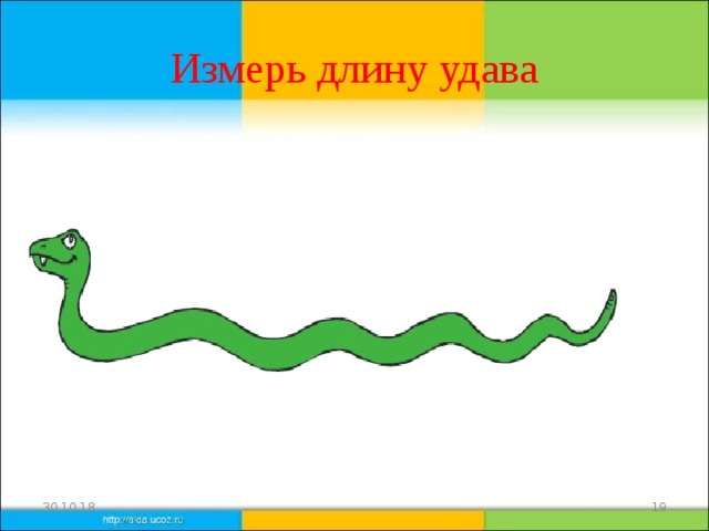 На рисунке изображена змейка. Измерение удава. Измерь длину удава. Измерение линейкой удава. Удав математика.